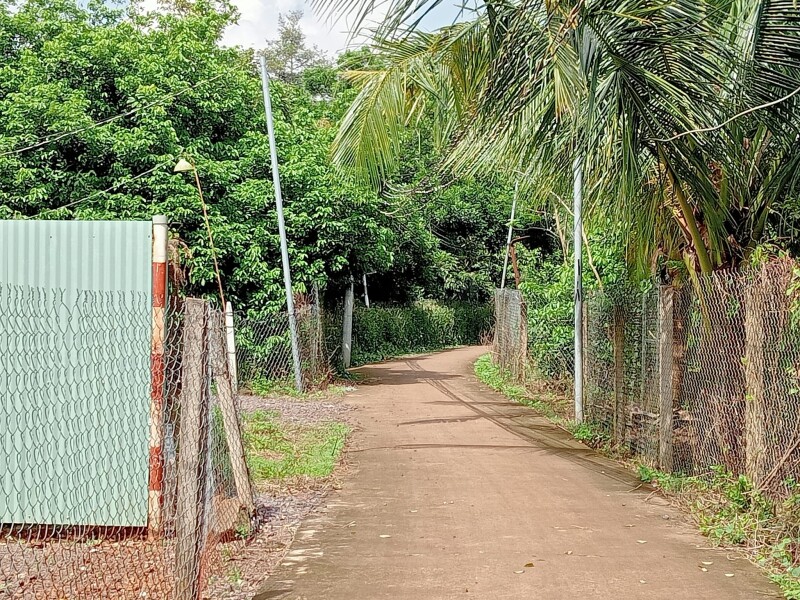 Vườn Chôm Chôm, Diện tích 2000m2,(có 60m2 thổ cư) giá đầu tư liên hệ 0974 728719