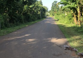 Bán Gấp, dt 2000m2, Giá Đầu Tư, Đường Nhựa, P Bảo Vinh-Tp Long Khánh-Đồng Nai