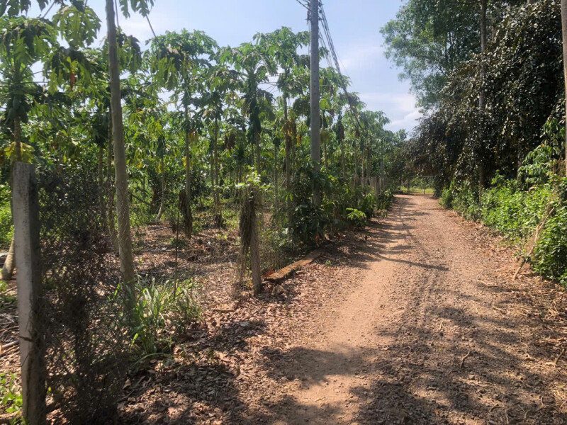 Bán Gấp, dt 6508m2, có 200m2 thổ cư, Giá Đầu Tư, Xã Xuân Phú-H Xuân Lộc-Đồng Nai, zalo 0974 728719