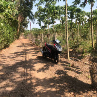 Bán Gấp, dt 6508m2, có 200m2 thổ cư, Giá Đầu Tư, Xã Xuân Phú-H Xuân Lộc-Đồng Nai, zalo 0974 728719