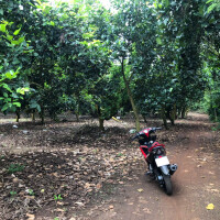 Bán gấp lô đất 2 mặt tiền đường-Phường Bình Lộc-Đồng Nai