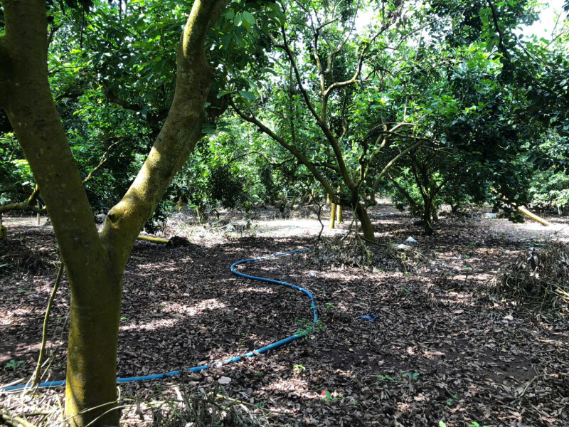 Bán gấp lô đất 2 mặt tiền đường-Phường Bình Lộc-Đồng Nai